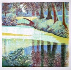 kroos, Sypesteijn / duckweed, Sypesteijn